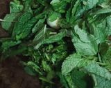 A picture of step 2 of Mint chutney/ green chutney.