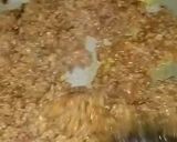 A picture of step 9 of Beef keema.