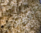 صورة لخطوة 4 من وصفة معكرونه بالجبن والقشطه