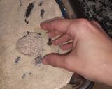 Foto del paso 3 de la receta: Albóndigas!!!