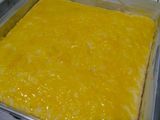WINGKO BABAT (OVEN)
