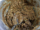 گوشفیل گیلانی