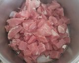A picture of step 1 of Pork stew.