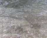 صورة لخطوة 2 من وصفة جلاش بحشوة البيتزا