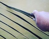 Foto del paso 4 de la receta: Tawa Tawa