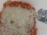 Arepa de Zanahoria 🥕