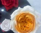 Hình bước làm 11 của món Dùng Cream Cheese trang trí bánh (cheese cake decoration)