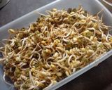 Foto del paso 4 de la receta: Brotes de Poroto salteados
