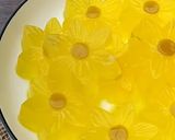 Foto langkah ke 3 dari resep Agar-agar Jadoel (Simple Dessert).