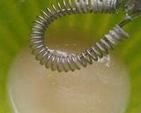 Foto del paso 7 de la receta Rollos canela hojaldre