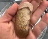 A picture of step 4 of Mango Seeds Mouth Freshner😋.