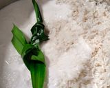 Foto langkah ke 1 dari resep Kue Talam Ketan Srikaya Pandan.