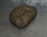 Foto del paso 10 de la receta: “Trampantojo Galletas OREO” de Aceitunas negras, crema de queso y pimentón