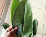 A picture of step 2 of How to tie moi moi leaf.