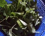 Foto langkah ke 1 dari resep Sayur Bening.
