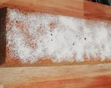 Foto del paso 6 de la receta: Budín fácil de Mandarina