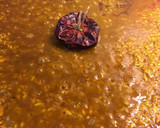 Foto del paso 5 de la receta: Paella finita de gambón
