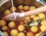 Foto langkah ke 3 dari resep 122. Bubur Candil.