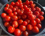 Foto del paso 1 de la receta: Tomate frito