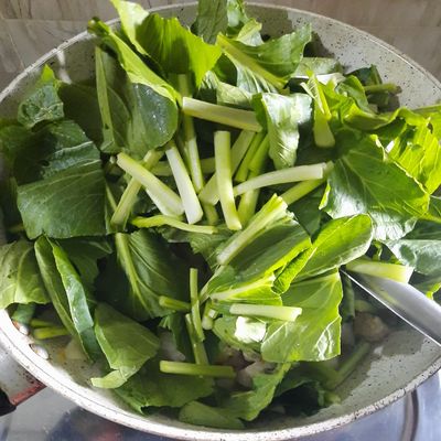 Langkah 7