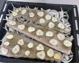 Foto del paso 4 de la receta: Merluza austral con ajo chilote 🧄