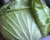 Stuffed Cabbage recipe step 1 photo
