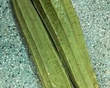 Hình bước làm 2 của món Mướp xào lòng gà