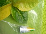 Homemade piping bag & Nozzles