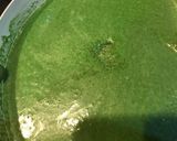 Foto del paso 4 de la receta: Crema de espinacas