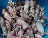 Foto langkah ke 1 dari resep Tumis Cumi Asin Cabe Hijau.