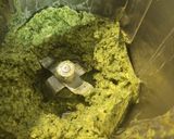 Foto del paso 4 de la receta Guacapesto con pipas de calabaza y hojas de zanahoria (Thermomix) 🥑