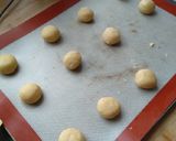 Une image de l'étape 2 de Sable pattes de chat.