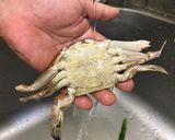 🦀彩椒滑蛋澎湖扁蟹🦀的食譜步驟2照片