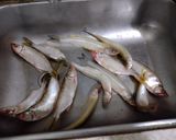 Foto del paso 1 de la receta: Pejerrey frito