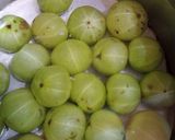 A picture of step 1 of Amla Achar balls.