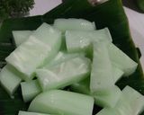 Foto langkah ke 6 dari resep Puding kelapa nutrijel melon.