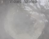 Foto langkah ke 1 dari resep Cireng Nasi Sisa ala Violet Azalea.