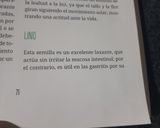 Foto del paso 4 de la receta: Licuado para mejorar el tránsito intestinal