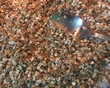 Foto del paso 4 de la receta: Granola de avena con miel
