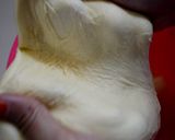 Foto langkah ke 5 dari resep Resep Roti Dasar Tanpa Ulen Tanpa Mikser.