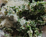 Foto del paso 2 de la receta: Matambre arrollado