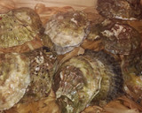 Foto del paso 1 de la receta: Ostras gratinadas con mixto de carne y marisco