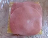 Foto del paso 6 de la receta: Lasagna a mi estilo 🍽️🍛