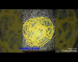 A picture of step 4 of Crepe.