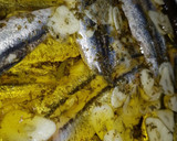 Foto del paso 8 de la receta: Boquerones en vinagre