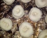 Foto del paso 5 de la receta: Bollitos
