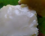 Foto del paso 2 de la receta: Cuadrados de limón o brownie de limón o lemonies