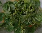 Foto langkah ke 3 dari resep Sup bayam wortel jagung.