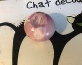 Une image de l'étape 3 de Sole aux coeurs d'artichauts, algues et oignon de roscoff.