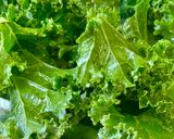 Hình bước làm 2 của món 🌱 Cải Xoăn Nướng Giòn (Chips Kale)